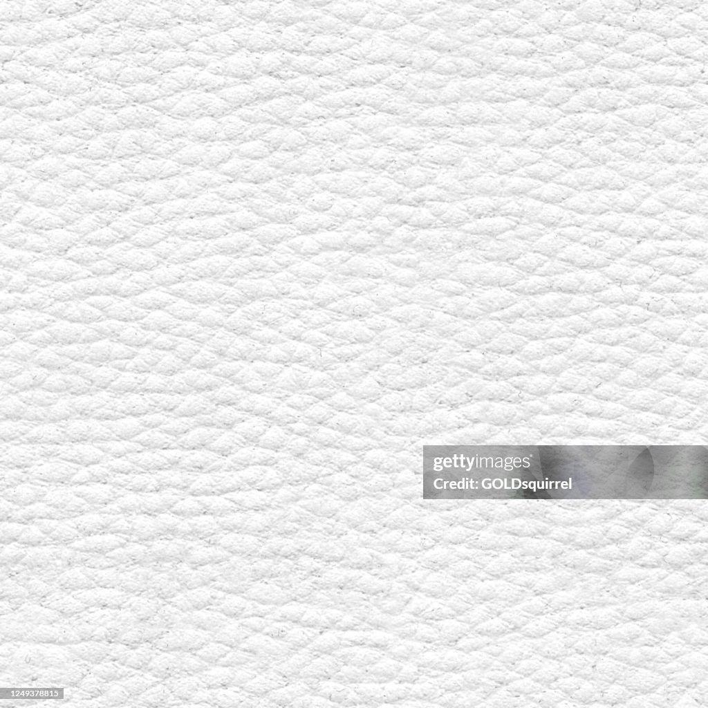 Textil de cuero blanco en vector - material altamente texturizado con ranuras y convexos visibles - superficie plana desigual suave - material de tapicería para sofás y sillones - superficie densamente compacta compuesta de pequeñas células convexas