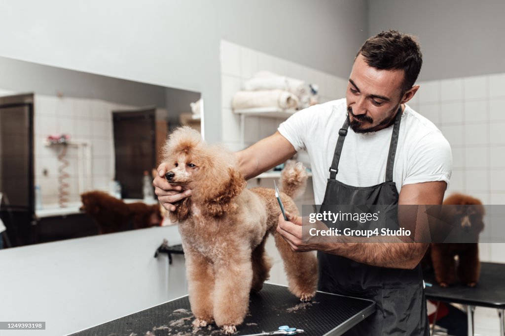 Grooming salon