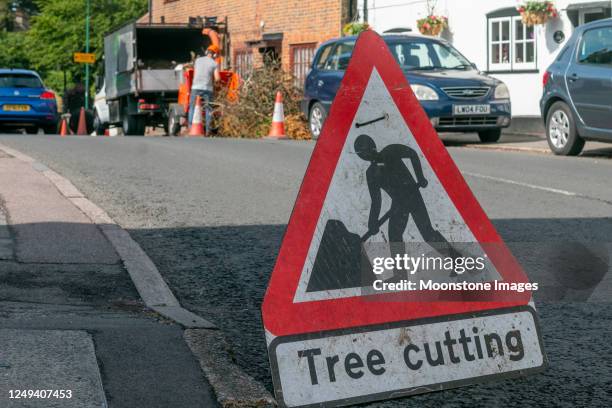 tree surgeon in eynsford, england - arborist stock pictures, royalty-free photos & images