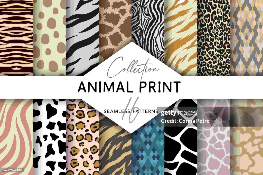 Animal Patterns Reference Set Of Seamless Patterns With Animal Print High-Res Vector Graphic ...