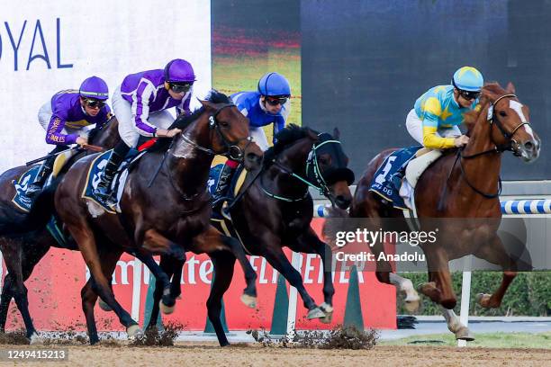 Uae Racetrack 8,533 Uae Derby Stock Photos, High-Res Pictures, and Images - Getty Images