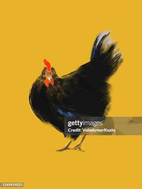 picturesque illustration of a black chicken on an orange background - scared chicken stock illustrations