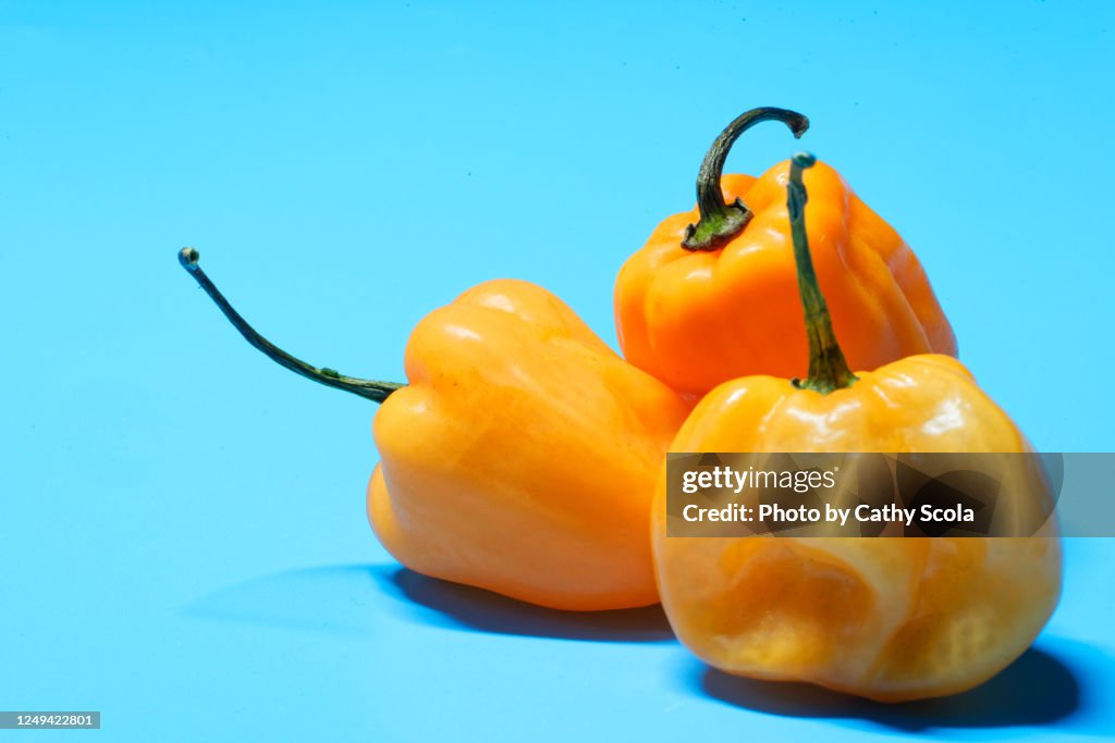 Habanero peppers