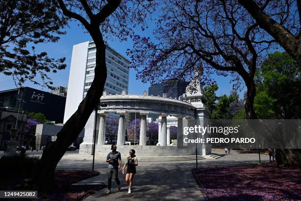 View of Jacaranda mimosifolia trees in the Alameda Central park in Mexico city, on March 25, 2023. - Each spring, as Japanese celebrate cherry...