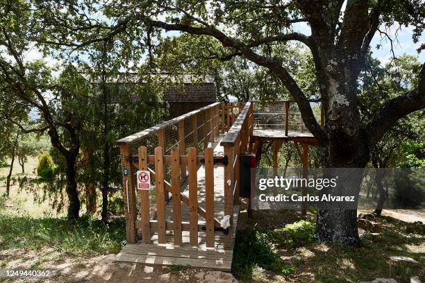 General view of a treehouse at the Monte Holiday campsite on June 13, 2020 in Gargantilla de Lozoya y Pinilla de Buitrago, Spain. The campsite, which...