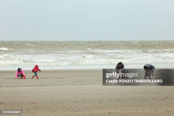 Beach Shell Collecting Shell Collecting Beach Photos and Premium High Res Pictures - Getty Images