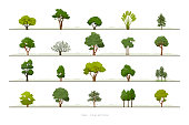 Collection of various green tree vector icon set on white background