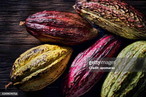 high angle view of fresh cacao fruits and leaves placed on top of a rustic old fashioned table - pod stock pictures, royalty-free photos & images