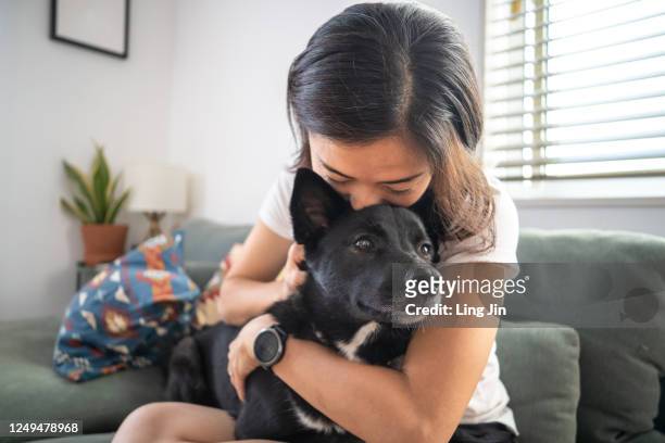 young woman hugging dog and on living room sofa - animale domestico foto e immagini stock