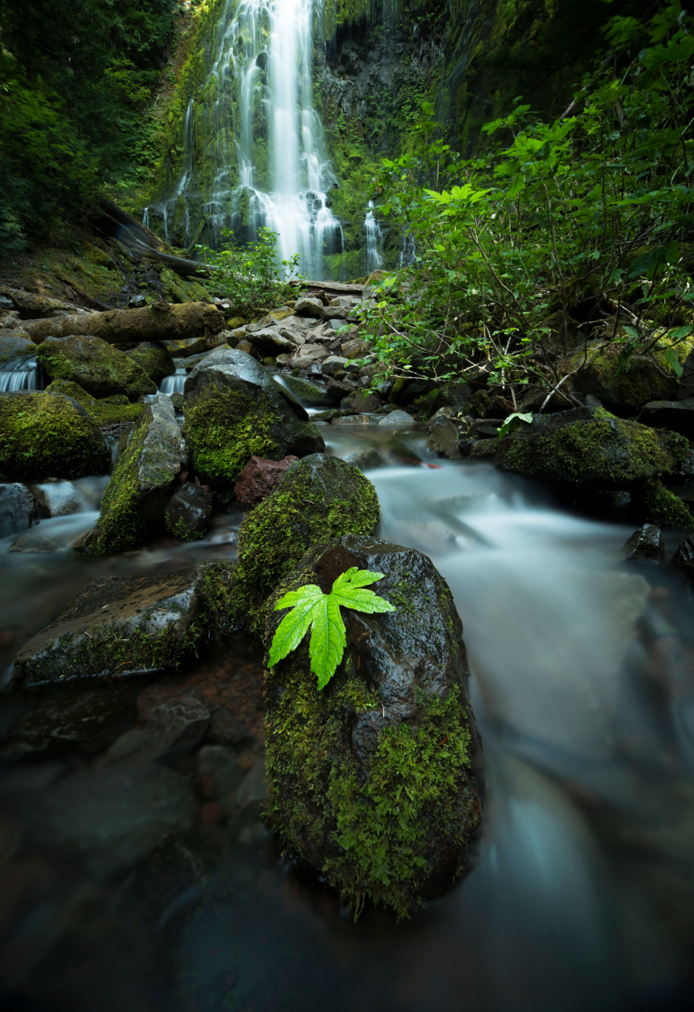 Proxy falls, Oregon Proxy falls, Oregon