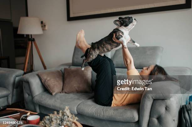un asiatico cinese bella donna proprietario animale domestico legame tempo con il suo animale domestico bulldog francese sul divano fingere volare - vita domestica foto e immagini stock