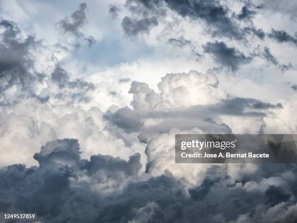 full frame of the sky with storm clouds. - くもり ストックフォトと画像