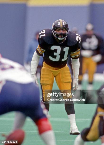 Johnny Shell Pittsburgh Steelers Donnie Shell Photos and Premium High Res Pictures ...