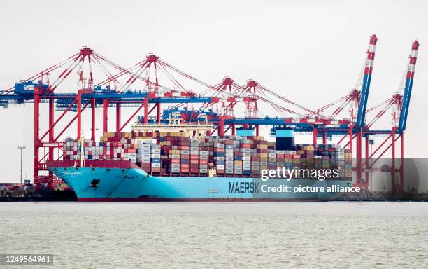 March 2023, Lower Saxony, Wilhelmshaven: The container ship "Morten Maersk" of the Danish shipping company Maersk Line lies on a quay wall at the...