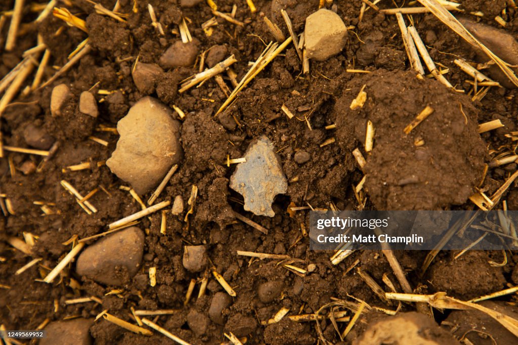 Ancient Arrowhead in Field