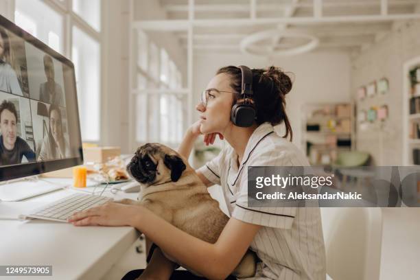 having a video conference call together - office dog stock pictures, royalty-free photos & images