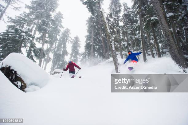 freinds skiën en snowboarden een glade run - whistler winter stockfoto's en -beelden