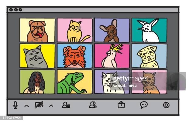 ilustraciones, imágenes clip art, dibujos animados e iconos de stock de mascotas en una videoconferencia / ilustración vectorial - iguana