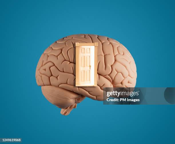 door to the mind - cerebro humano fotografías e imágenes de stock