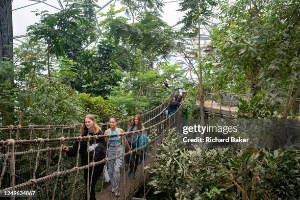 Visitors cross a cable bridge above the Rainforest Biome at the Eden Project, on 22nd March 2023, in St Austell, Cornwall, England. The Rainforest...