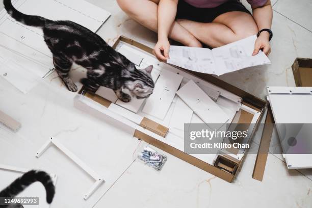 asian woman assembling a flat-pack furniture with her cat sniffing around - cat box stock pictures, royalty-free photos & images