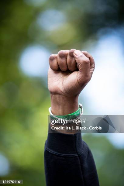 Hawk Newsome, Chairperson of the Black Lives Matter Greater NY holds up a raised fist as he listens to Chivona Renee Newsome, the Co-Founder of Black...