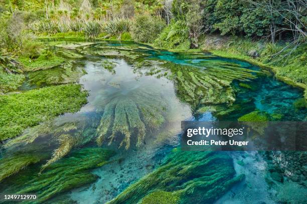Putaruru Sign 37 Blue Spring Putaruru Stock Photos, High-Res Pictures, and Images ...