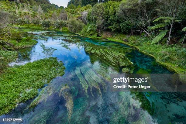 Blue Spring Images 37 Blue Spring Putaruru Stock Photos, High-Res Pictures, and Images ...