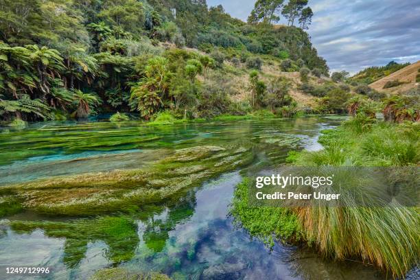 Putaruru Sign 37 Blue Spring Putaruru Stock Photos, High-Res Pictures, and Images ...
