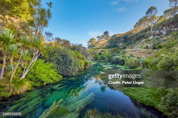Blue Spring River 37 Blue Spring Putaruru Stock Photos, High-Res Pictures, and Images ...