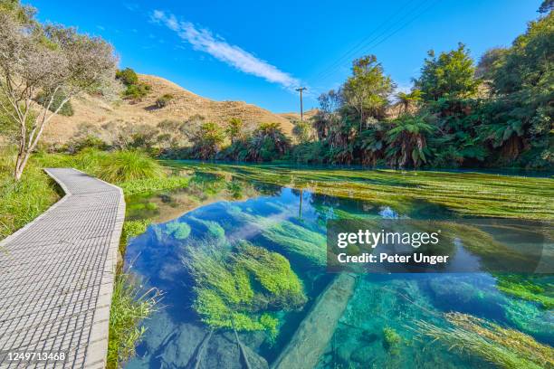 Blue Spring Images 37 Blue Spring Putaruru Stock Photos, High-Res Pictures, and Images ...