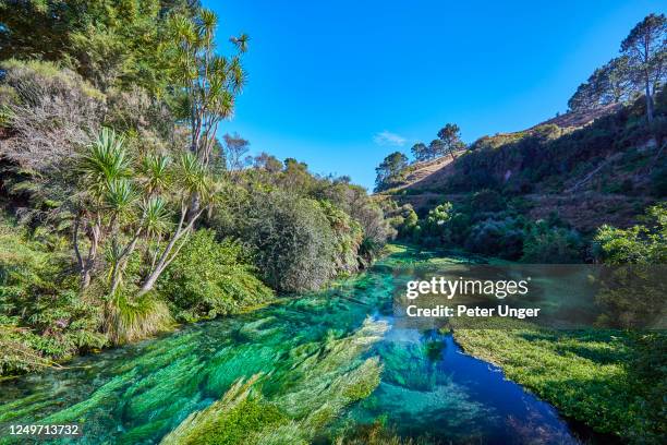 Putaruru Sign 37 Blue Spring Putaruru Stock Photos, High-Res Pictures, and Images ...
