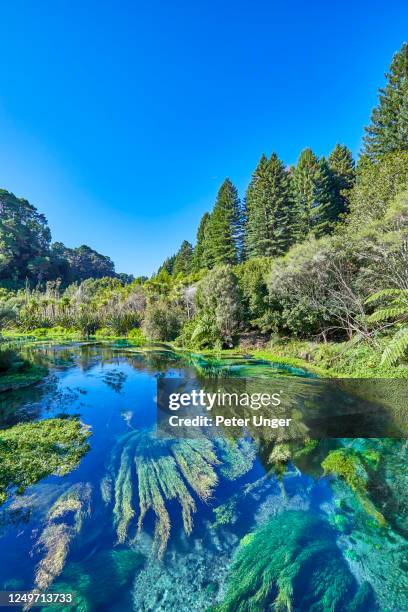 Putaruru Sign Blue Spring Putaruru Photos and Premium High Res Pictures - Getty Images