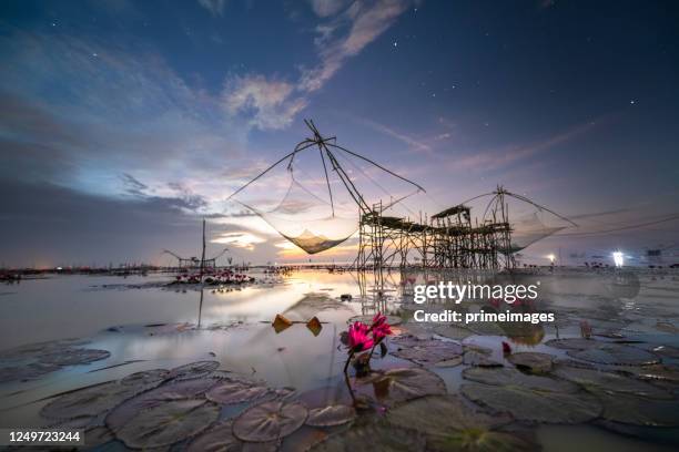 nuit étoilée au-dessus du lac et de la mer tropicale avec la voie lactée à la thaïlande de songkhla - province de songkhla photos et images de collection