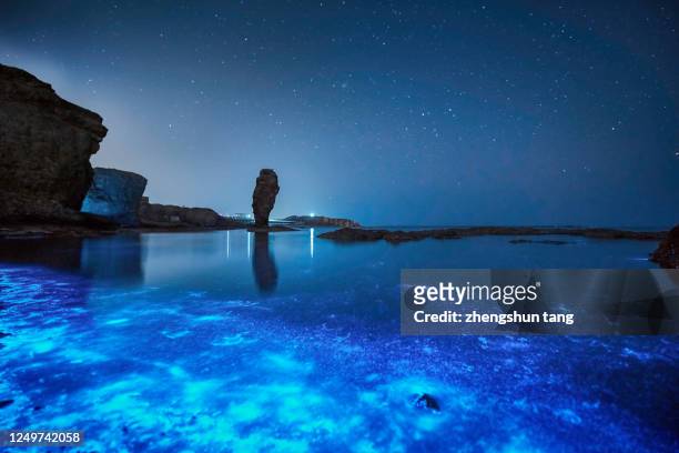 fluorescent beach in yellow sea - bioluminescence stock pictures, royalty-free photos & images