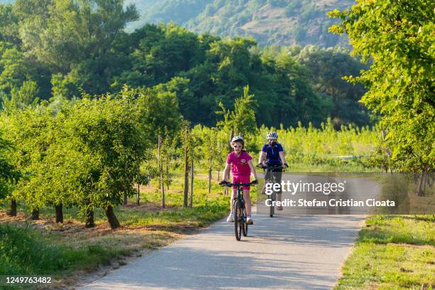 mother and daughter biking near vineyards in wachau austria - track cycling stock pictures, royalty-free photos & images