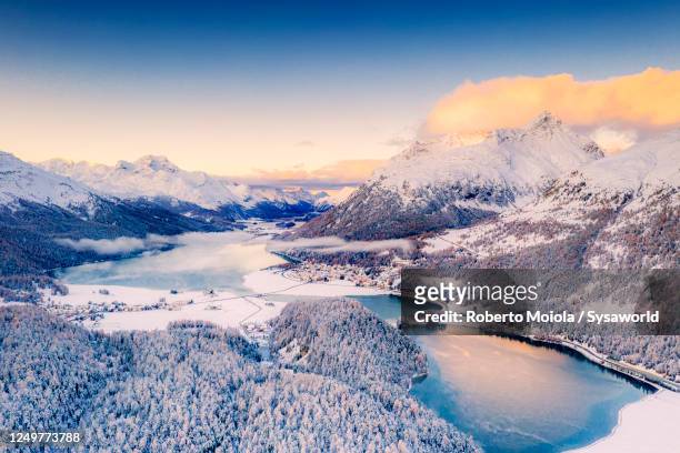snowy woods around lej da champfer and silvaplana, switzerland - st moritz stock pictures, royalty-free photos & images