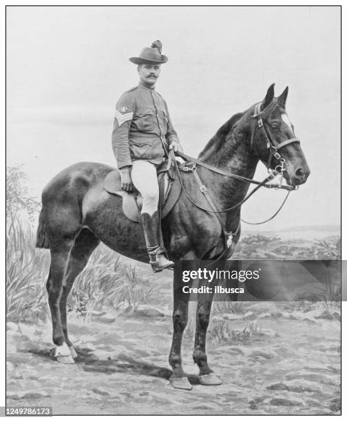 antique photograph of british navy and army: sergeant major, new south wales lancers - major lance stock illustrations