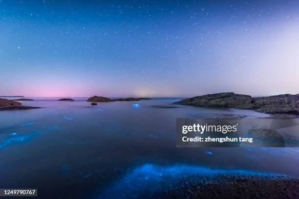 fluorescent beach in yellow sea - yellow sea fotografías e imágenes de stock