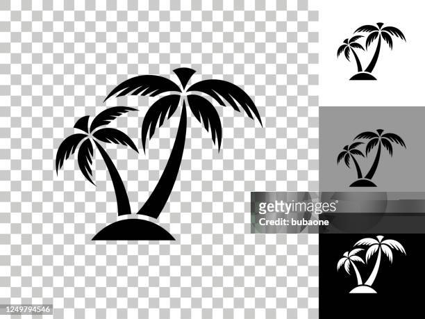 ilustraciones, imágenes clip art, dibujos animados e iconos de stock de icono de la palmera tropical en el fondo transparente del tablero de ajedrez - palmera