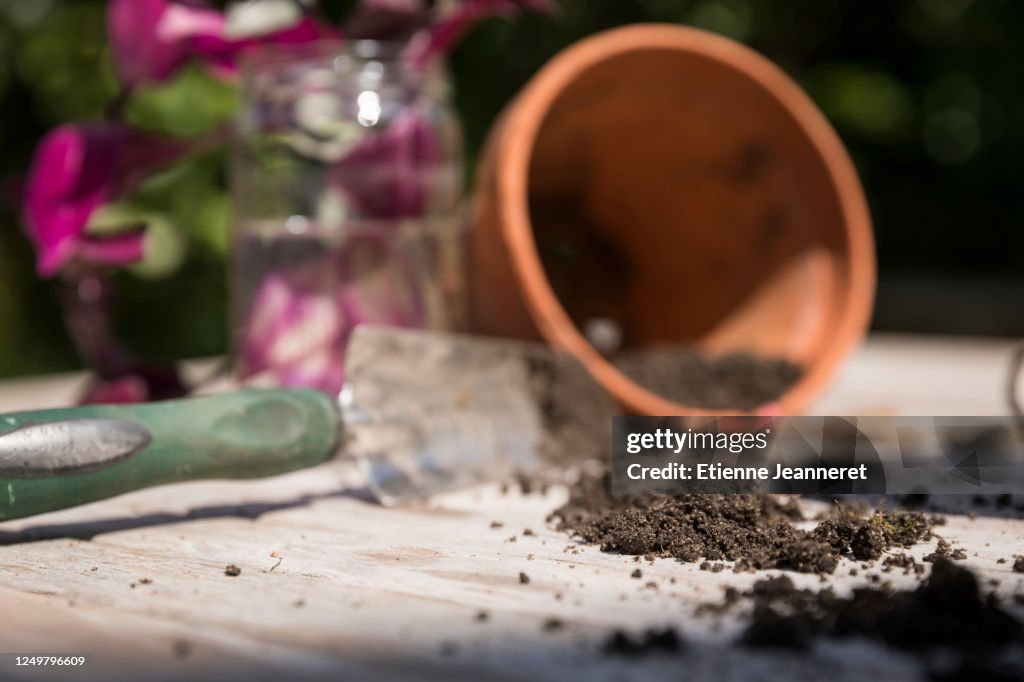 Black potting soil, Montargis, France.