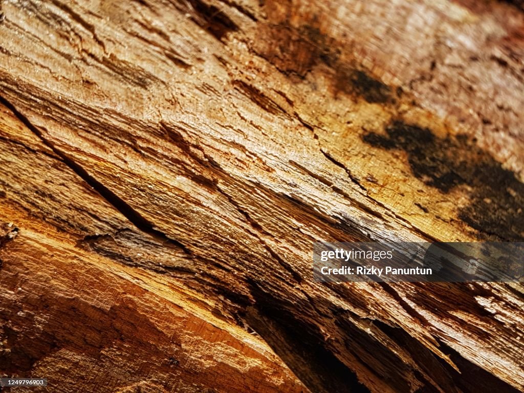 Full Frame Shot Of Wood Texture