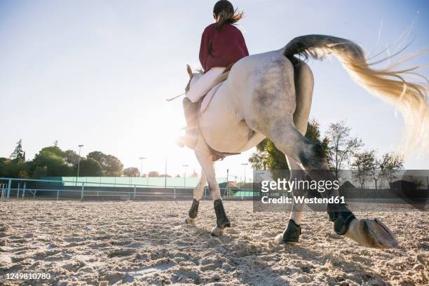 rear view of jockey girl riding white horse on training ground at ranch during sunny day - caballo blanco fotografías e imágenes de stock