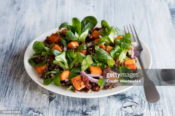plate of sweet potato salad with wild rice and corn salad - mache stock pictures, royalty-free photos & images