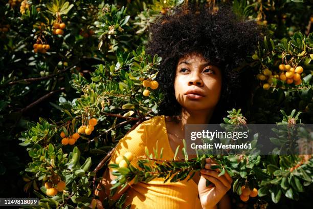 portrait of young woman surrounded by a bush with yellow berries - entourer photos et images de collection