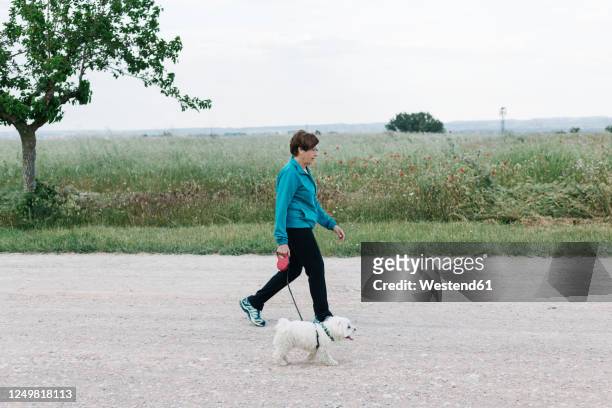 back view of senior woman going walkies with her dog at countryside - woman walking side view stock pictures, royalty-free photos & images