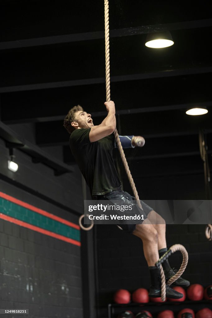 Premium Photo  Sportsman doing rope climbing exercise