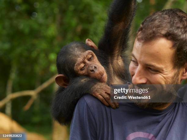 cameroon, pongo-songo, smiling man with chimpanzee (pan troglodytes) on back - chimpanzé imagens e fotografias de stock