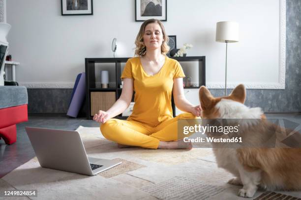 woman with dog practising yoga in living room at home - woman portrait in home laptop stock pictures, royalty-free photos & images