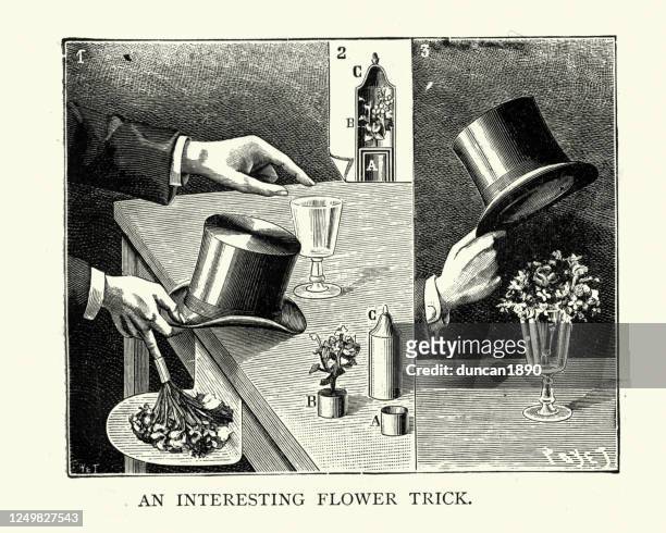 victorian magic trick, flowers, top hat, wine glass, 19th century - magic trick stock illustrations